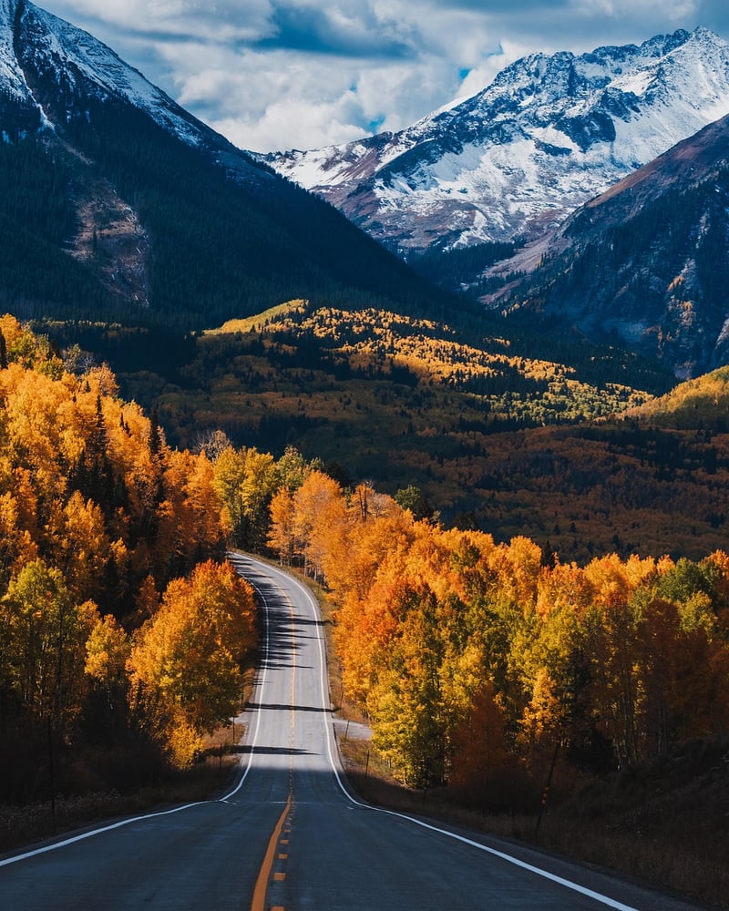 Road Trip